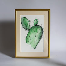  Cactus