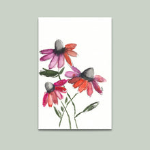  Coneflower Print