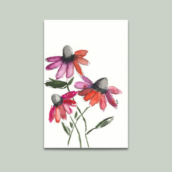 Coneflower Print