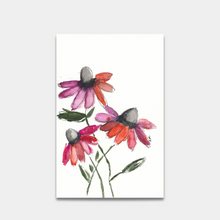  Coneflower Print