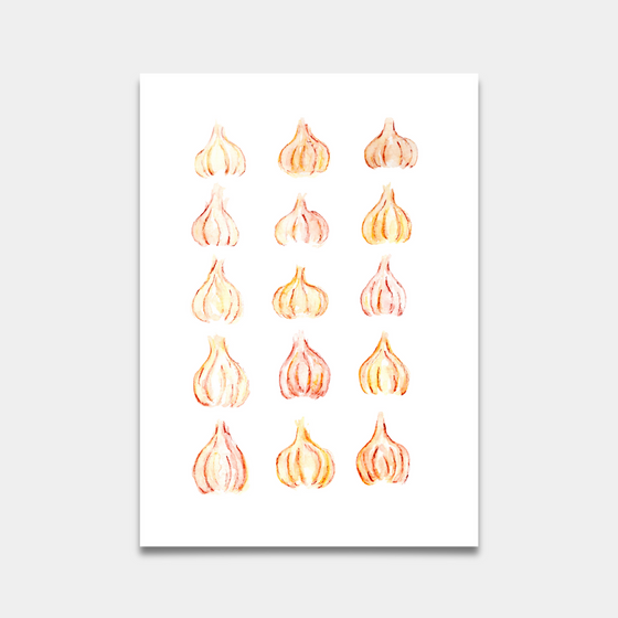 Garlic Study Print