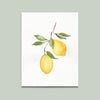 Lemon Print