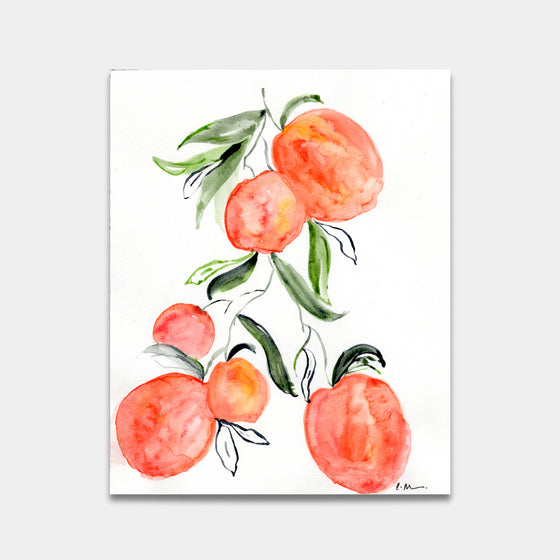 Peach Print