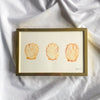 "She Sells Sea Shells" Framed Original